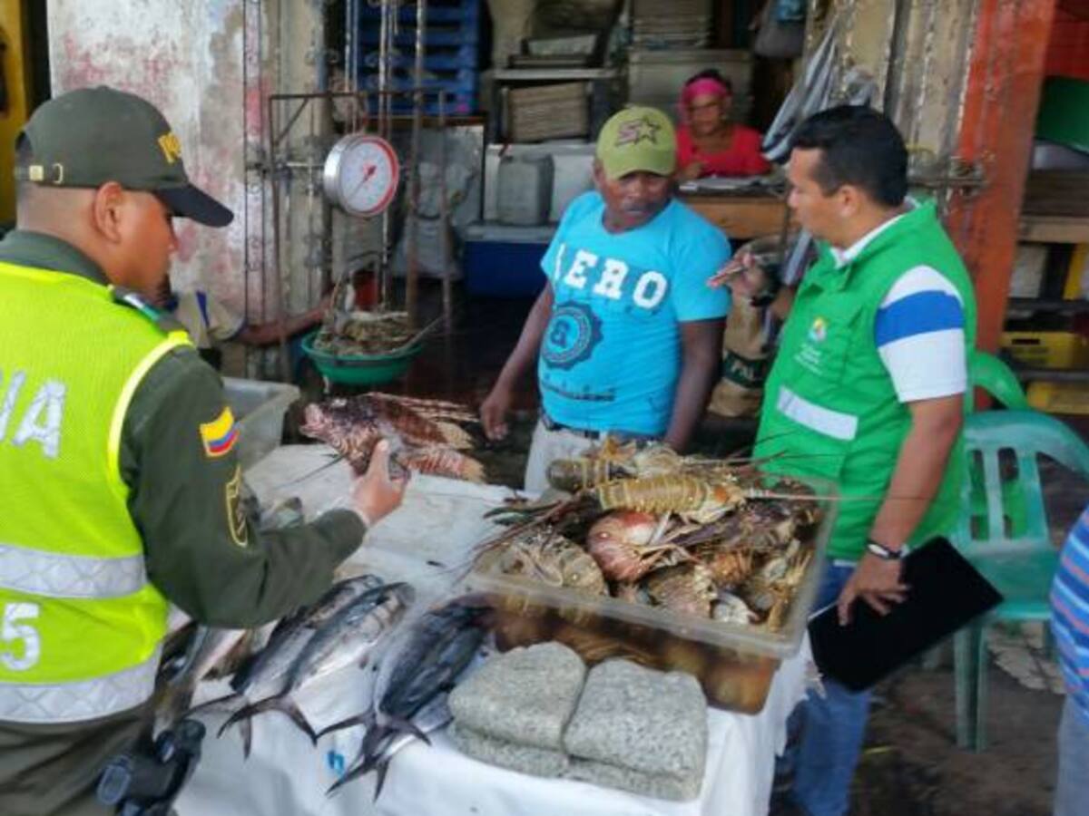 Policía de Cartagena realiza control a venta de pescados en el mercado de Bazurto