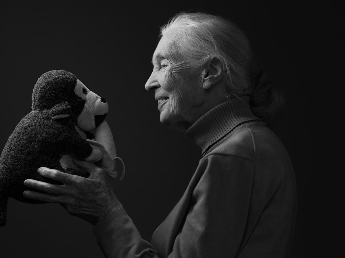 Muere Jane Goodall, la mujer que dedicó su vida al estudio de los chimpancés