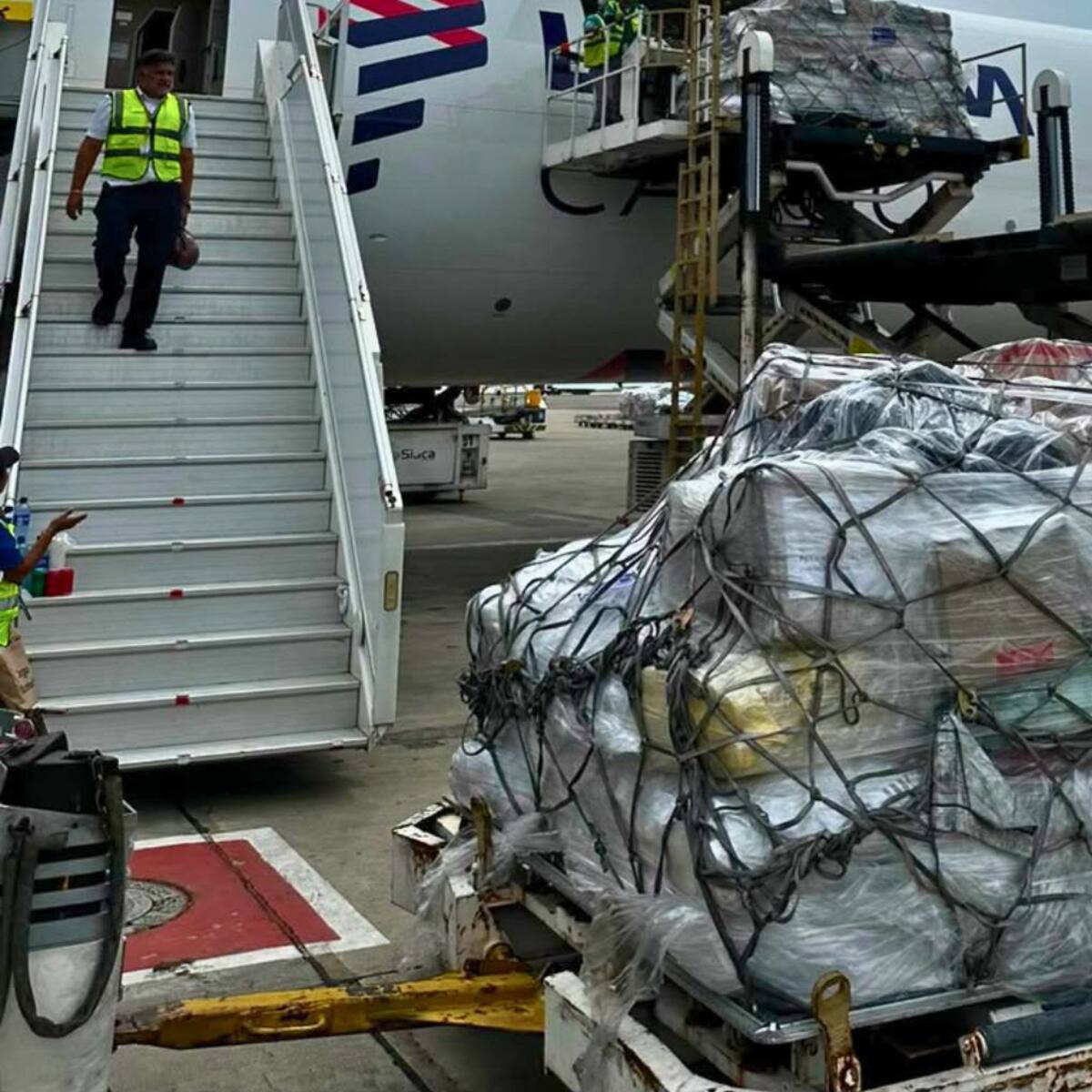 El IDPYBA envía 14 toneladas de ayuda para perros y gatos afectados por terremotos en Venezuela