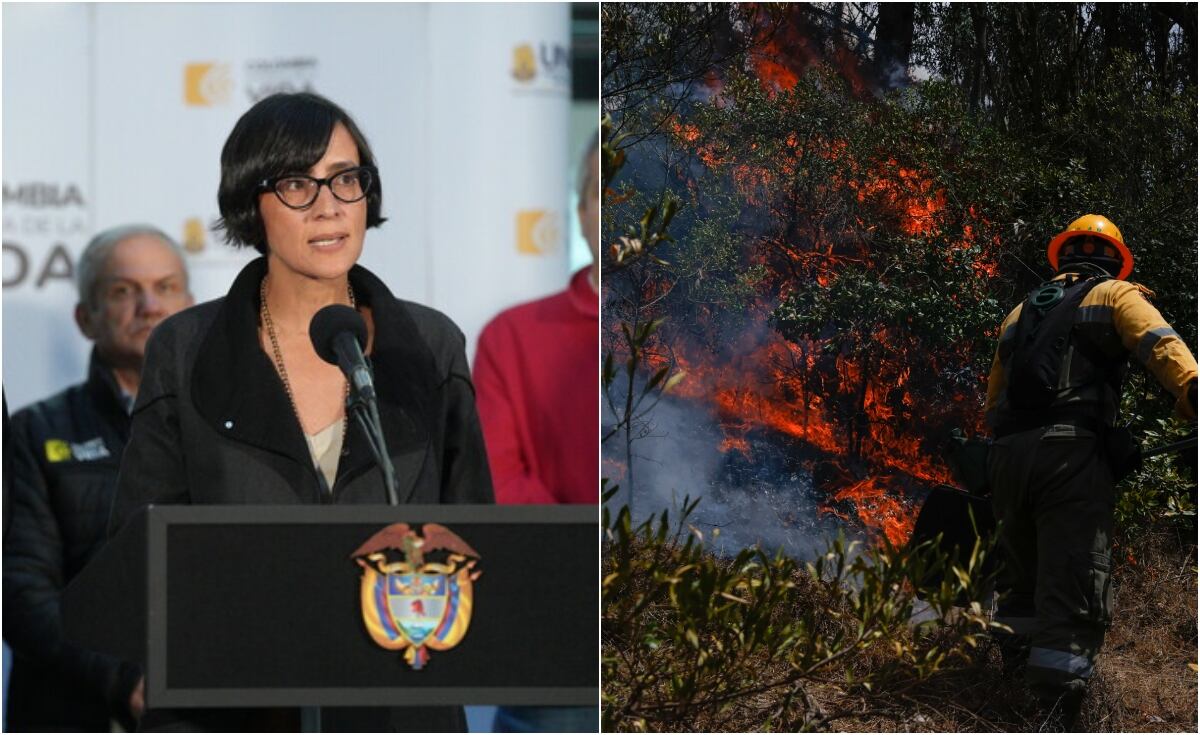 Ministra de Ambiente, Susana Muhamad.(Cortesía Juan Diego Cano - Presidencia). / Incendio vía Getty Images