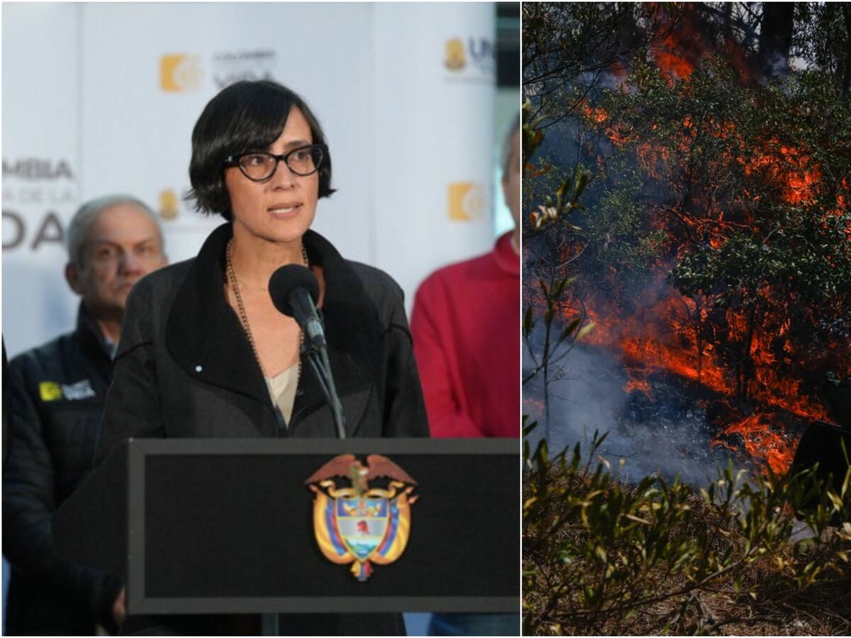 MinAmbiente pedirá que se abra investigación a empresas de energía por incendios en el país