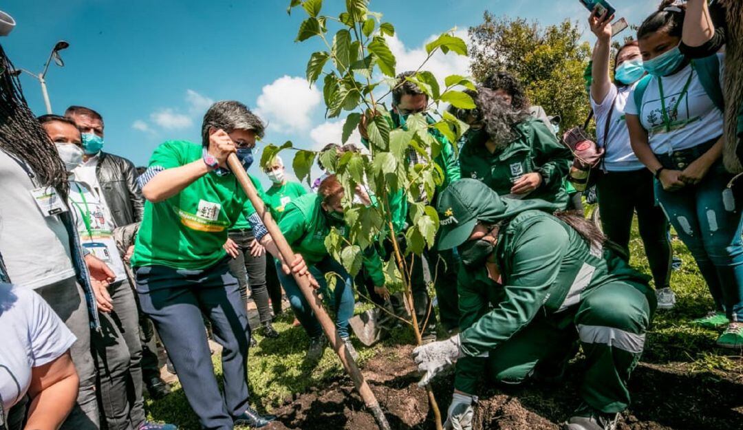 Reverdecer Bogotá 