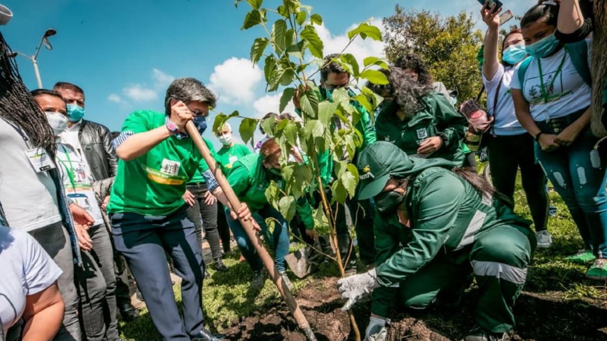 Según el Distrito habrá un millón de árboles plantados al finalizar el 2023