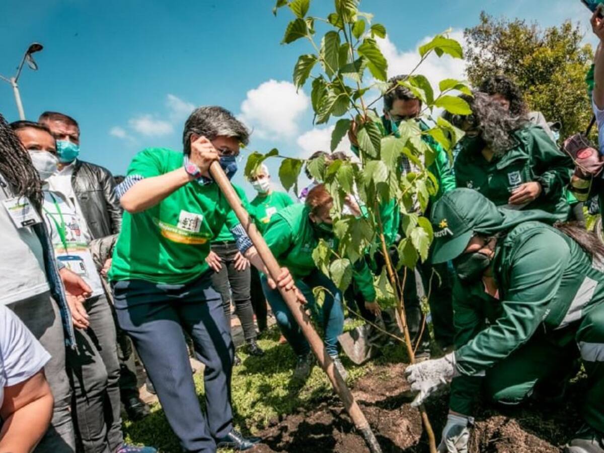 Según el Distrito habrá un millón de árboles plantados al finalizar el 2023