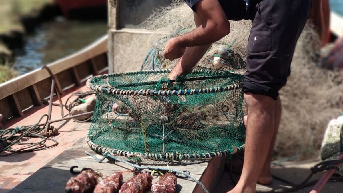 La pesca artesanal es reconocida a nivel mundial por la FAO