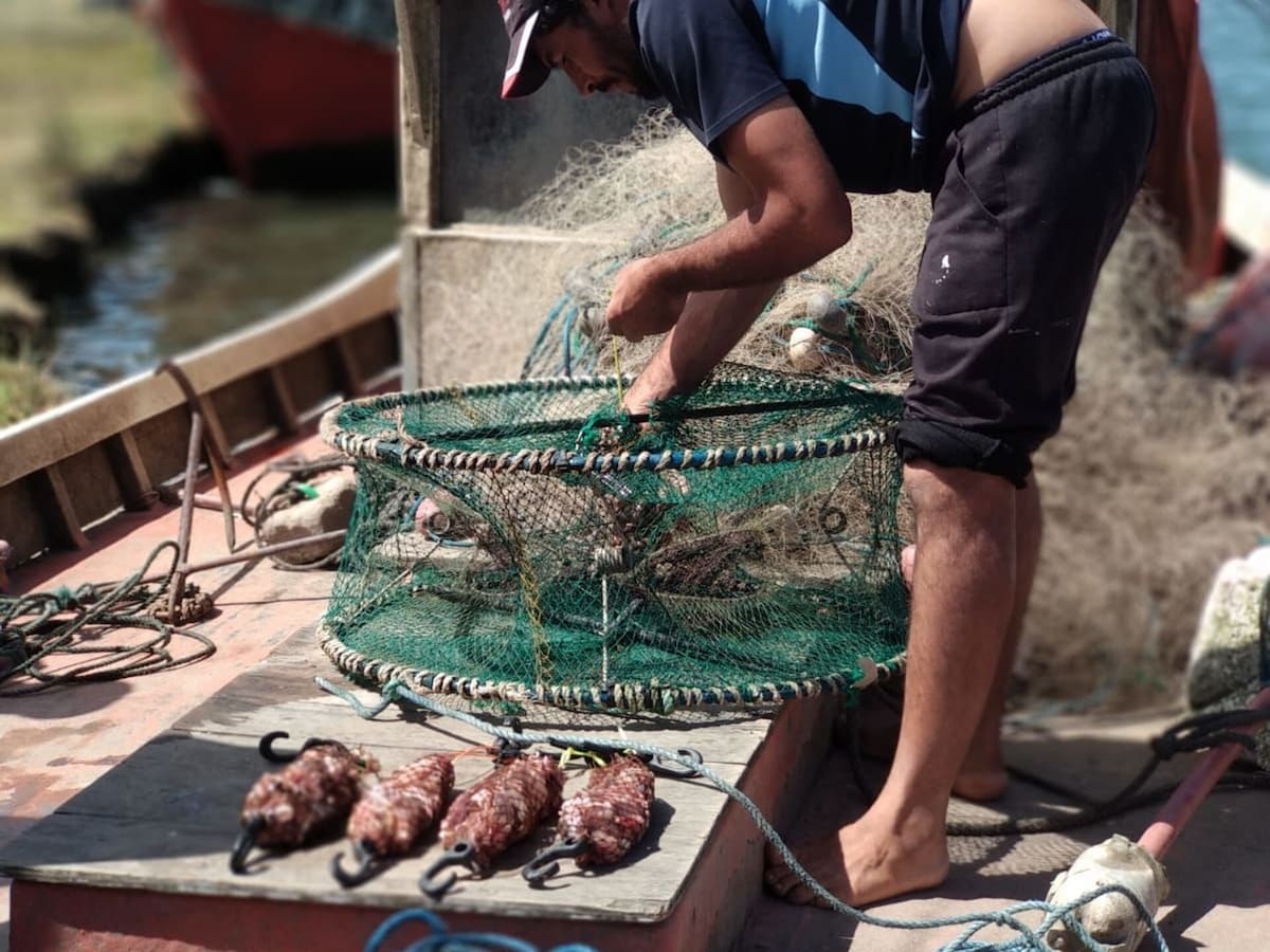 La pesca artesanal es reconocida a nivel mundial por la FAO