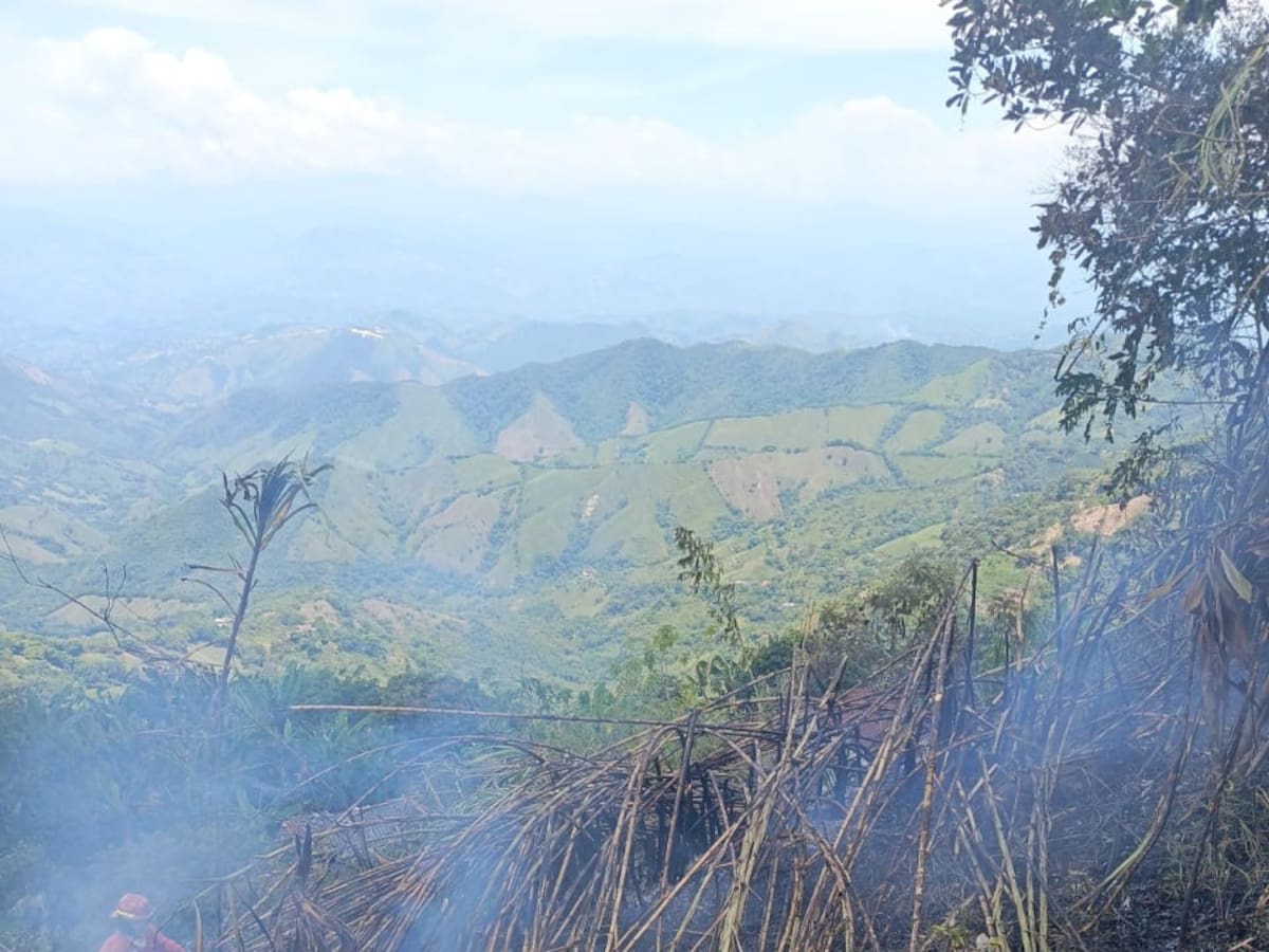 Un incendio forestal consumió varias hectáreas de cultivos y pasto en Anserma (Caldas)