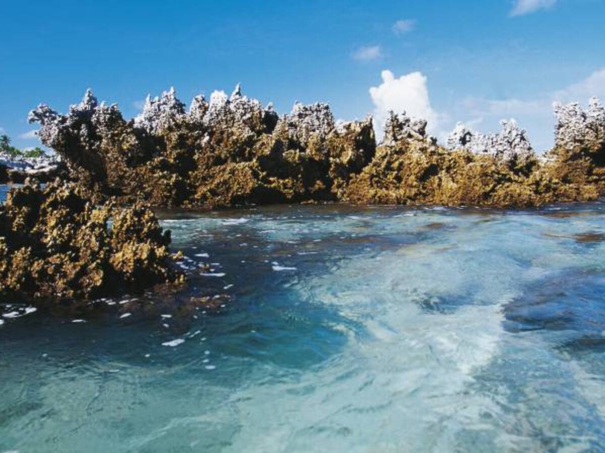 Aumento nivel del mar por calentamiento afectará a la economía