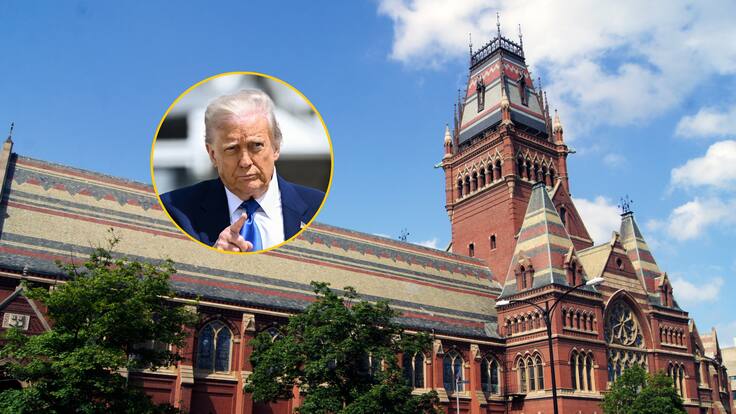 Estudiante de Harvard sobre prohibición de extranjeros por Trump: “Es una situación sin precedentes”