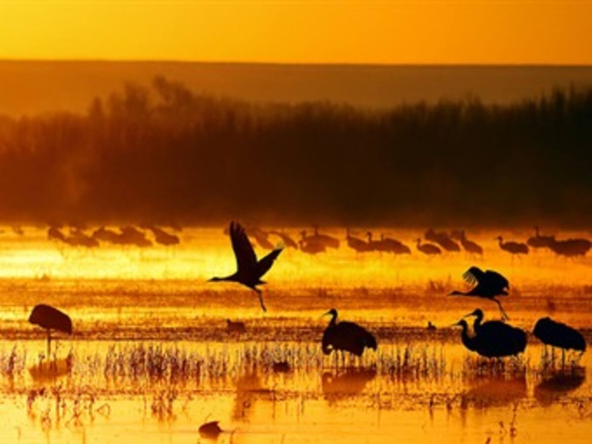 Las áreas protegidas no evitan la pérdida de biodiversidad, según un estudio