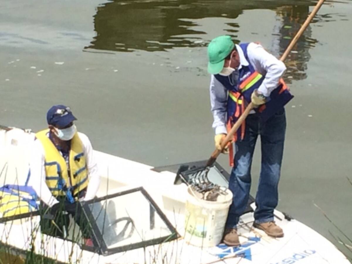 Emergencia en lago Sochagota por la mortandad de peces
