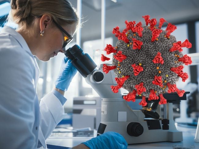 Jyvaskylavirus, Virus gigante en Finlandia