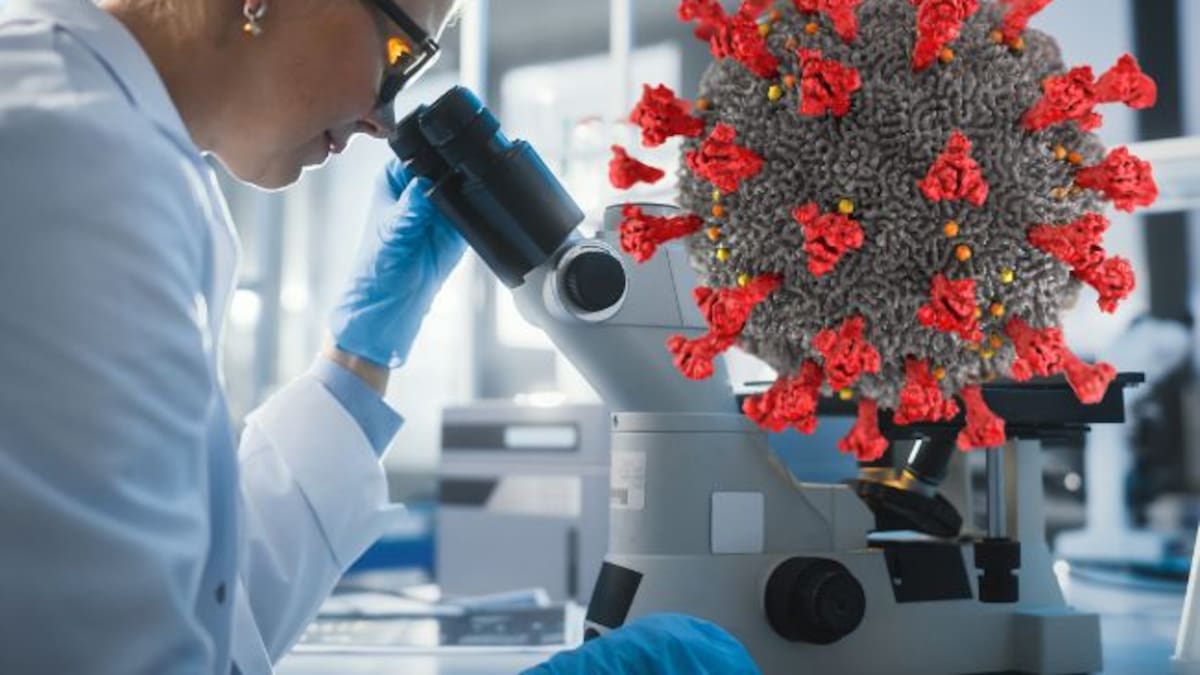 Descubren virus gigante en Finlandia: Misterios de su genoma podrían cambiar la biotecnología