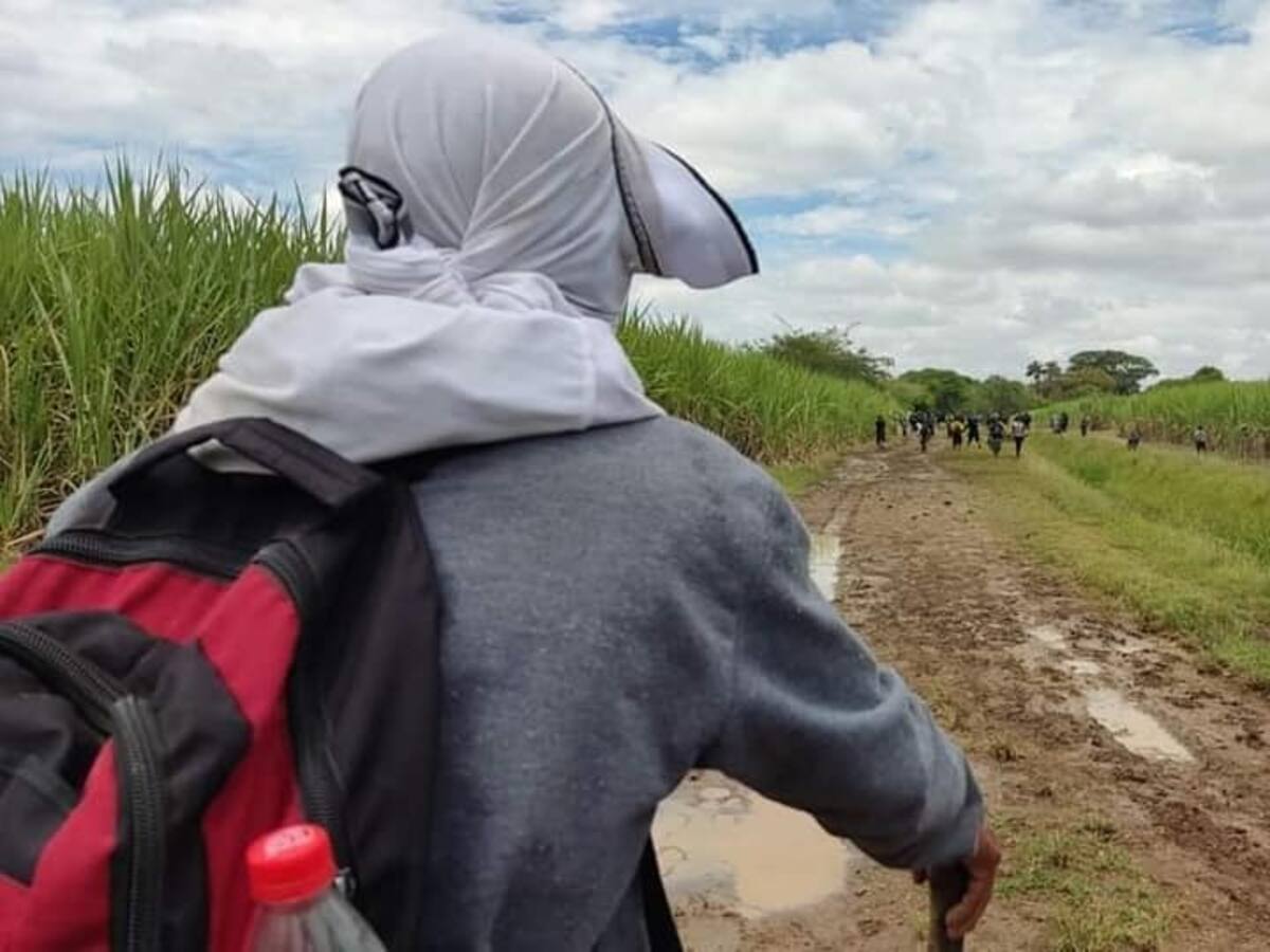 Dos trabajadores murieron en enfrentamientos por tierras en el norte del Cauca