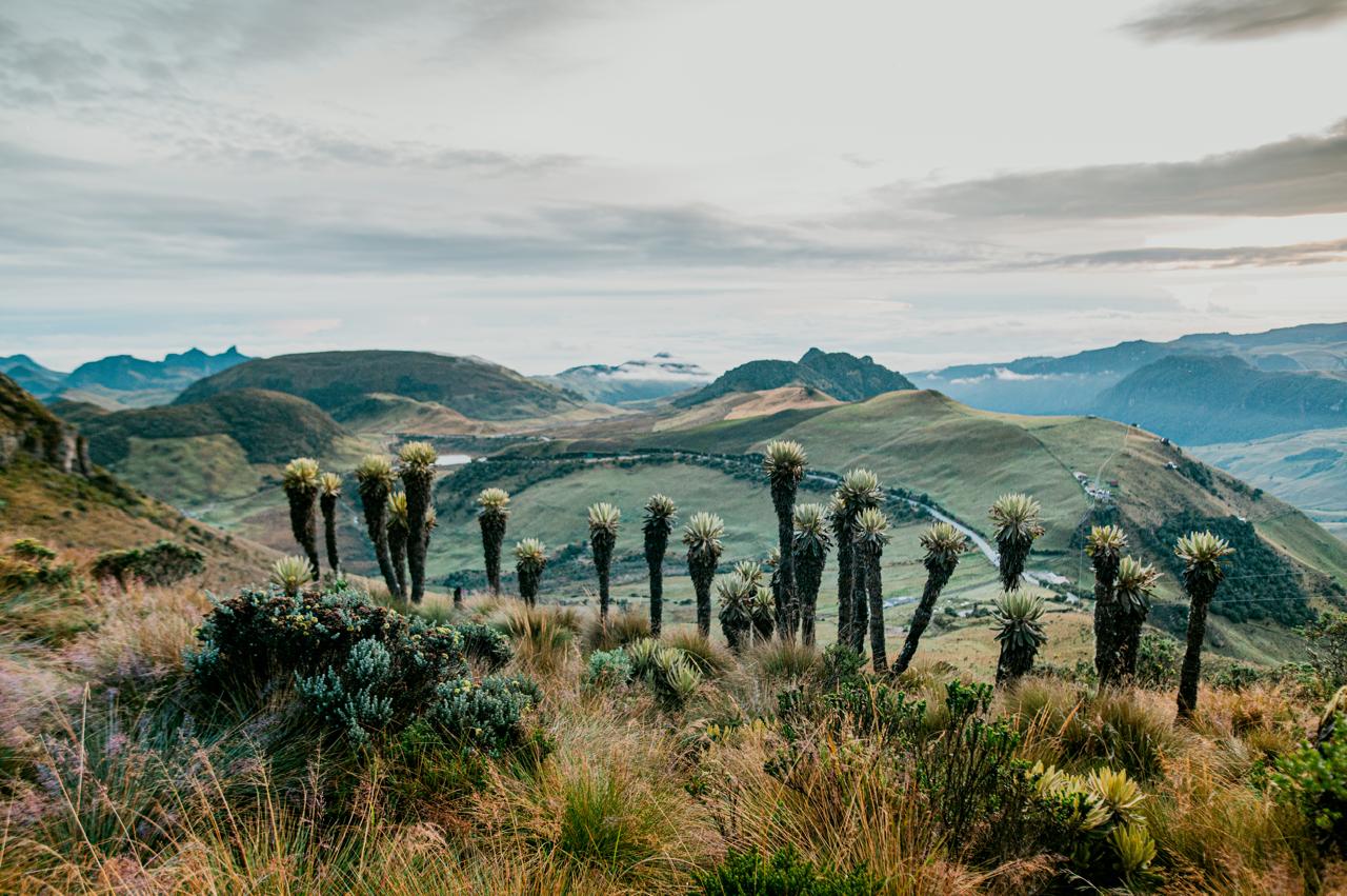 Fotografía suministrada: RAP Eje Cafetero
