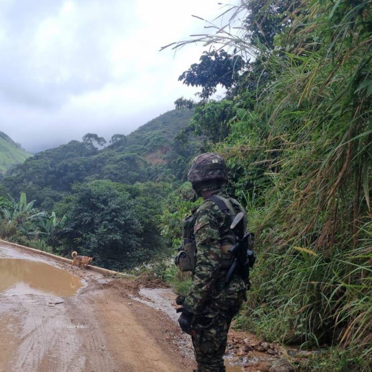 En Concordia y luego de un combate con el Clan del Golfo fue abatido un presunto ilegal