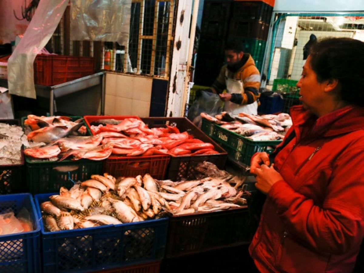 Venta de pescado en Semana Santa está en la mira de las autoridades de salud
