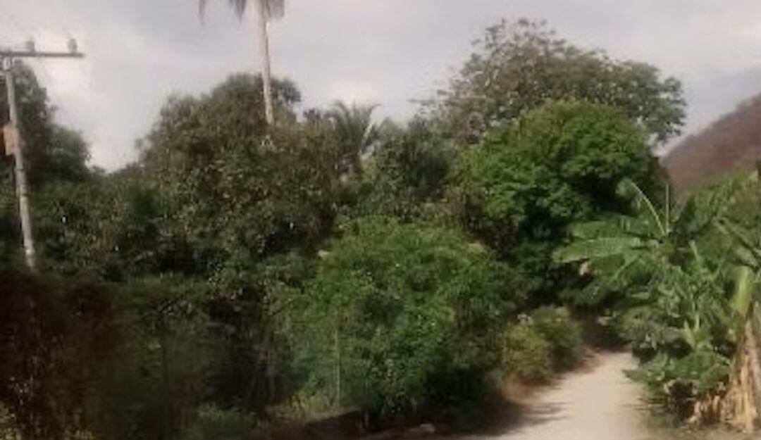 Vereda Puerto Mosquito