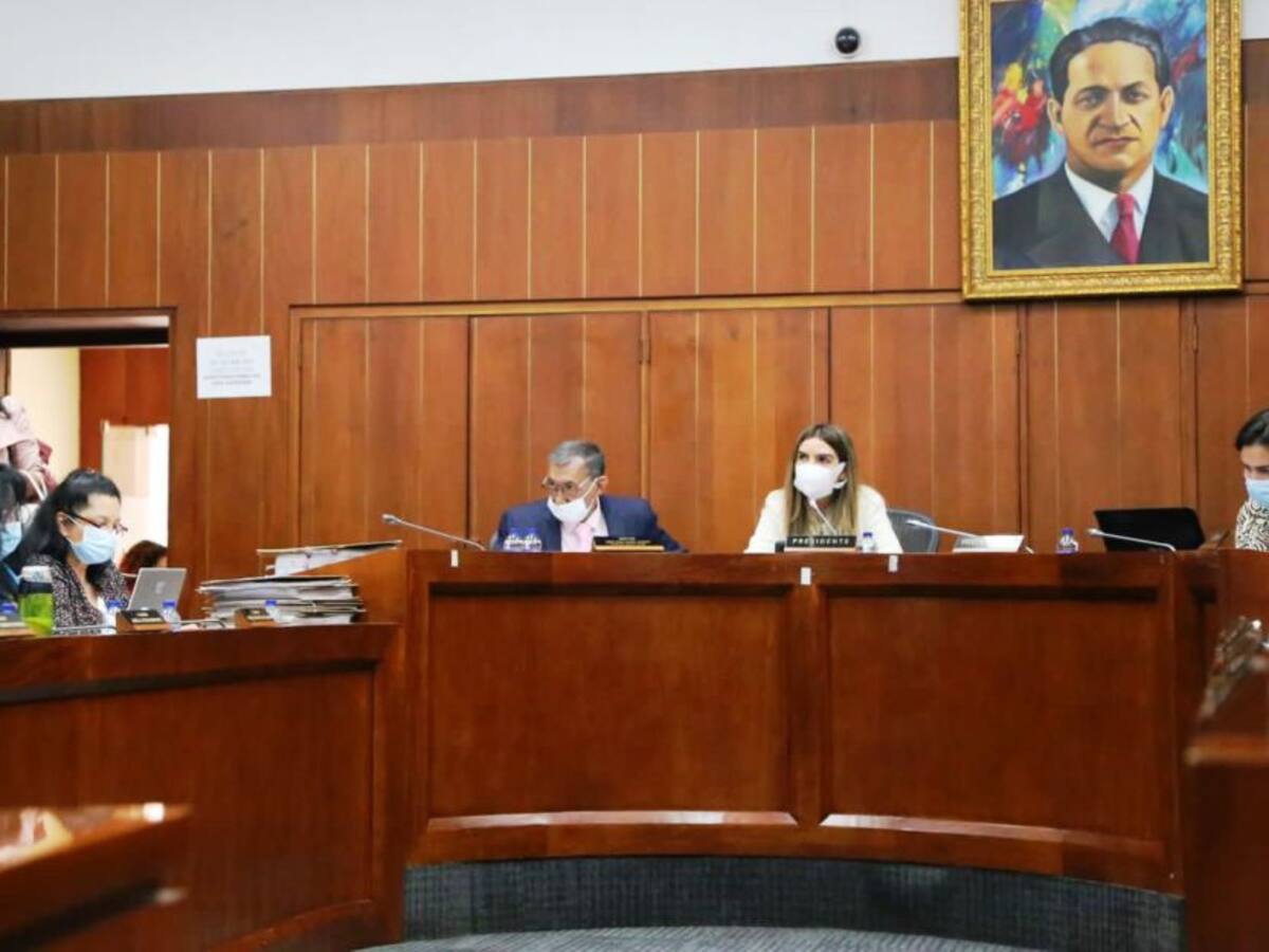 Senadora Blel pide priorizar proyectos que protejan a mujeres víctimas