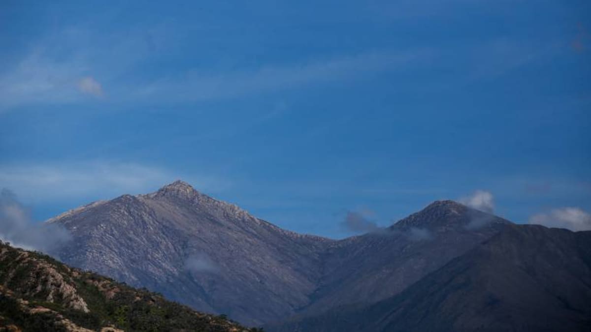Un pacto por la vida para que la naturaleza se expanda
