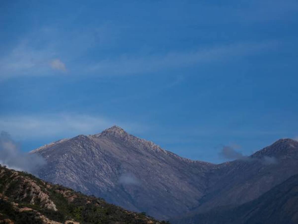 Un pacto por la vida para que la naturaleza se expanda