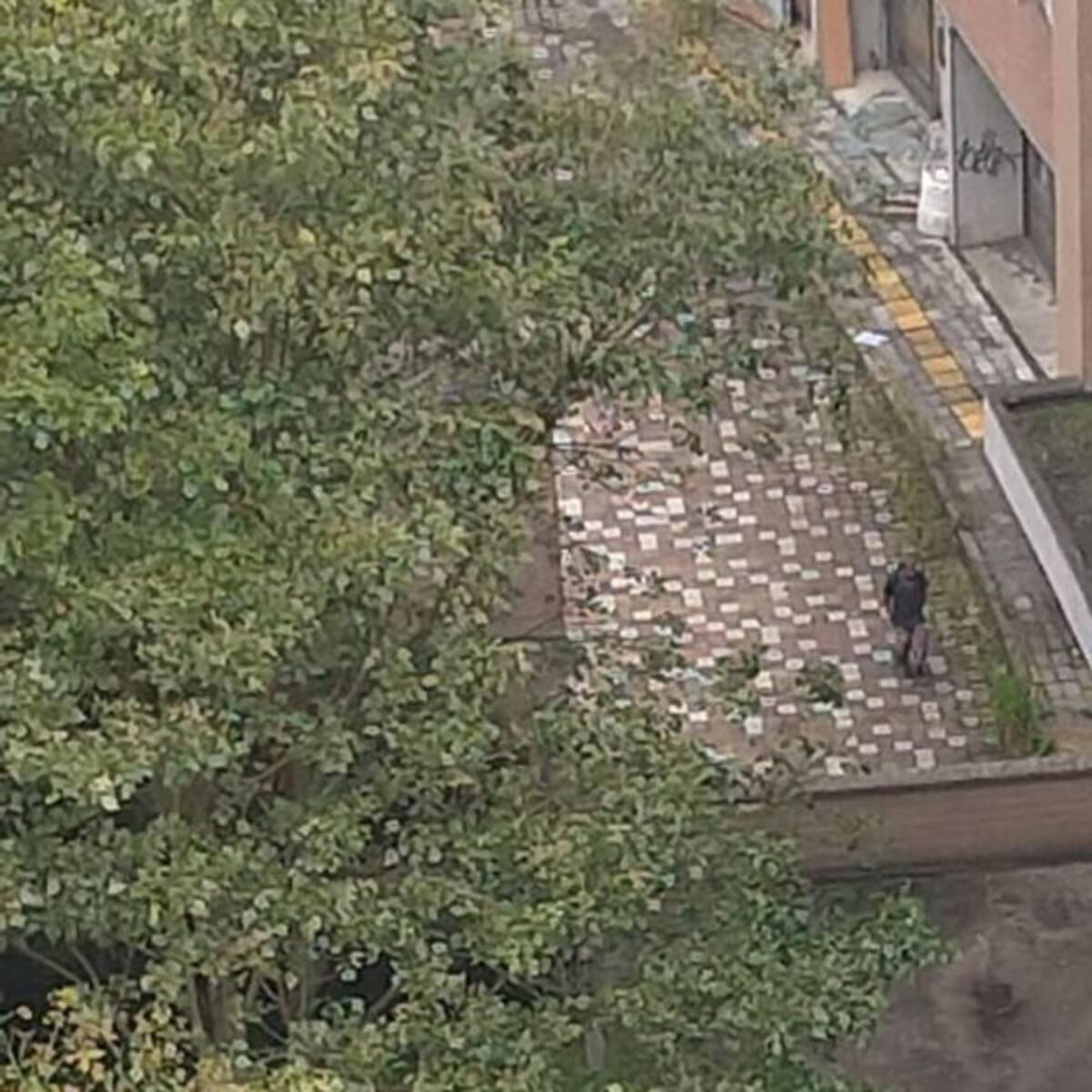 ¿Quiénes acaban a pedazos los edificios abandonados de CDO en Medellín?