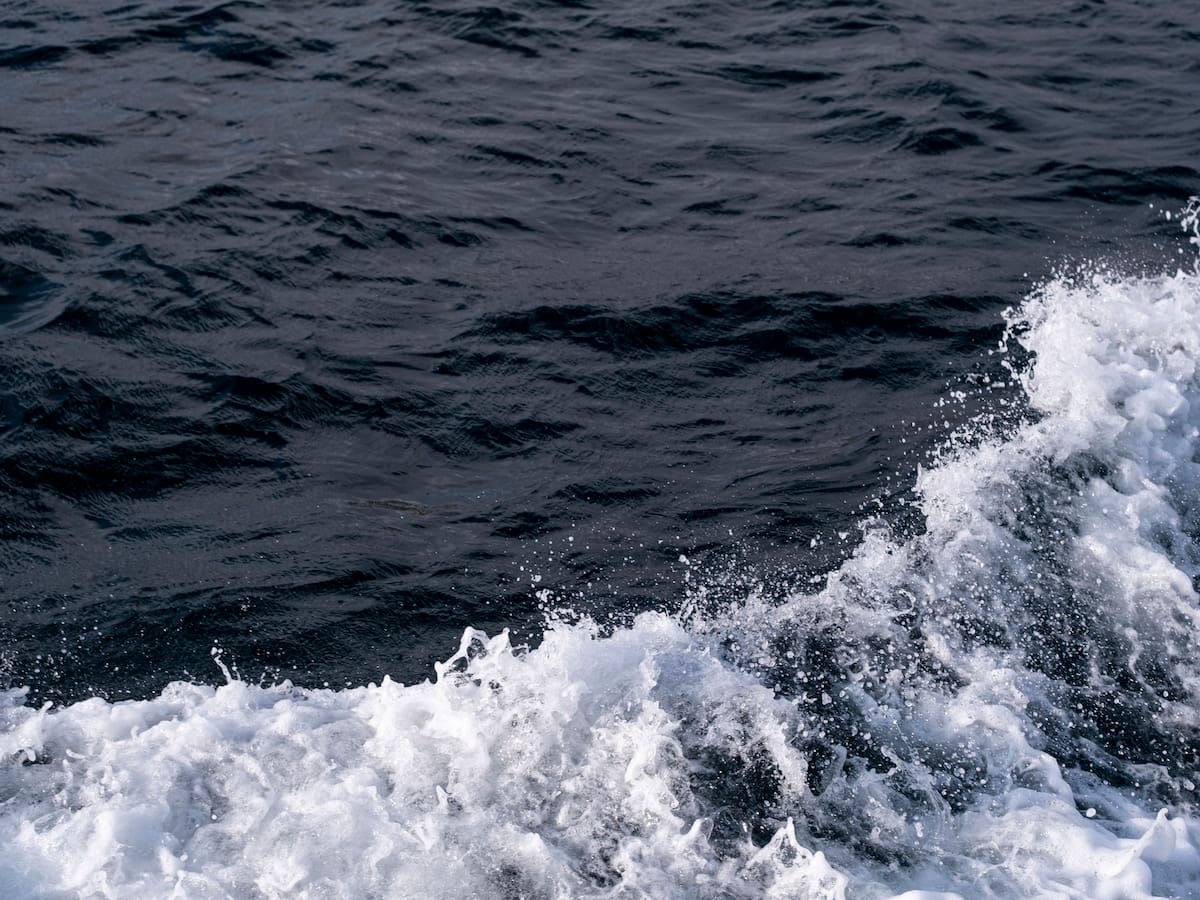 ¿Cómo se verá el mar en el año 3000? Esta es la predicción de la IA