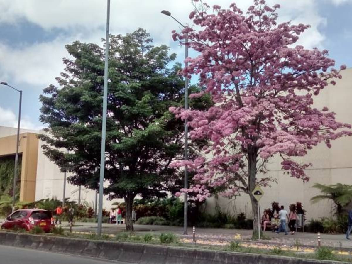 Noticias más importantes de Armenia y el Quindío, jueves 13 de octubre