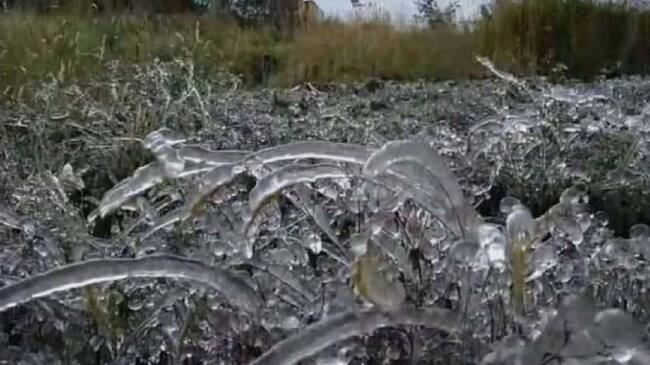 Heladas en Norte de Santander