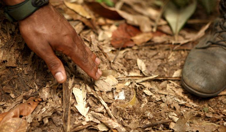 Mina antipersonal. (Imagen referencial). Foto: Archivo Caracol Radio.