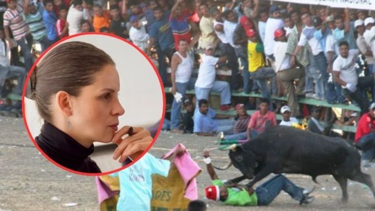 Senadora Andrea Padilla presenta proyecto para regular corralejas en Colombia