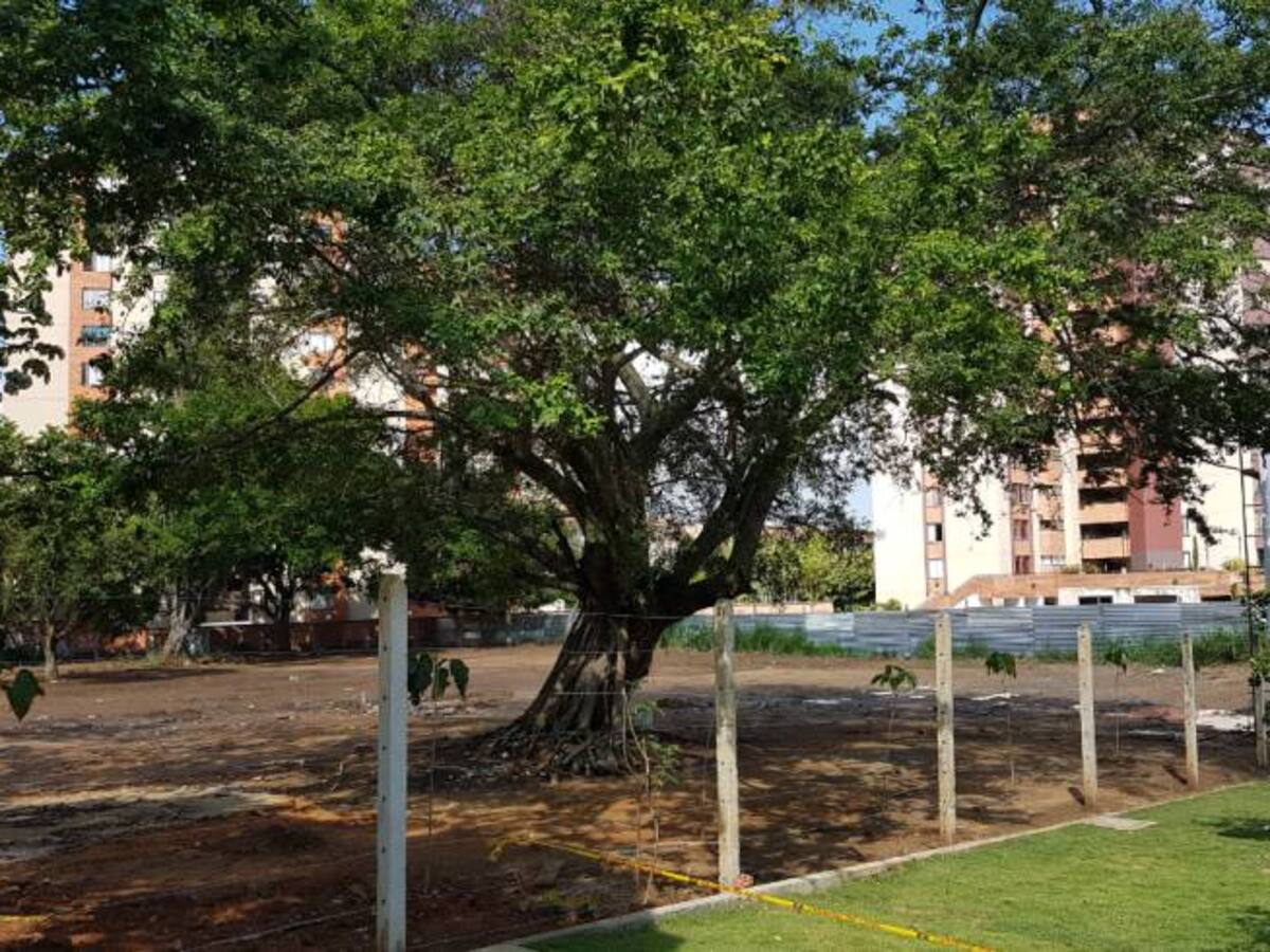 Construirán colegio al lado del parque de los Sueños