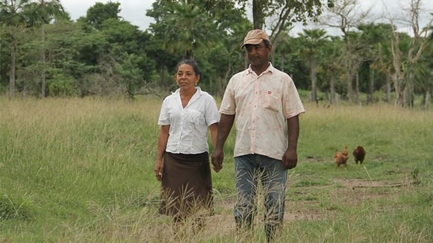 Restitución de tierras. Foto: Colprensa
