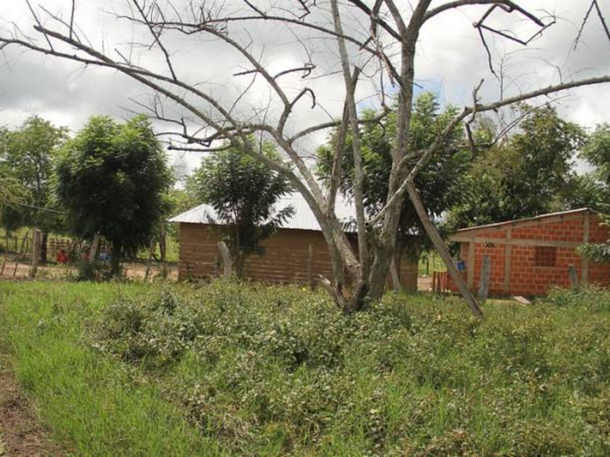 Gobierno no comprará tierras que han sido invasiones o presiones