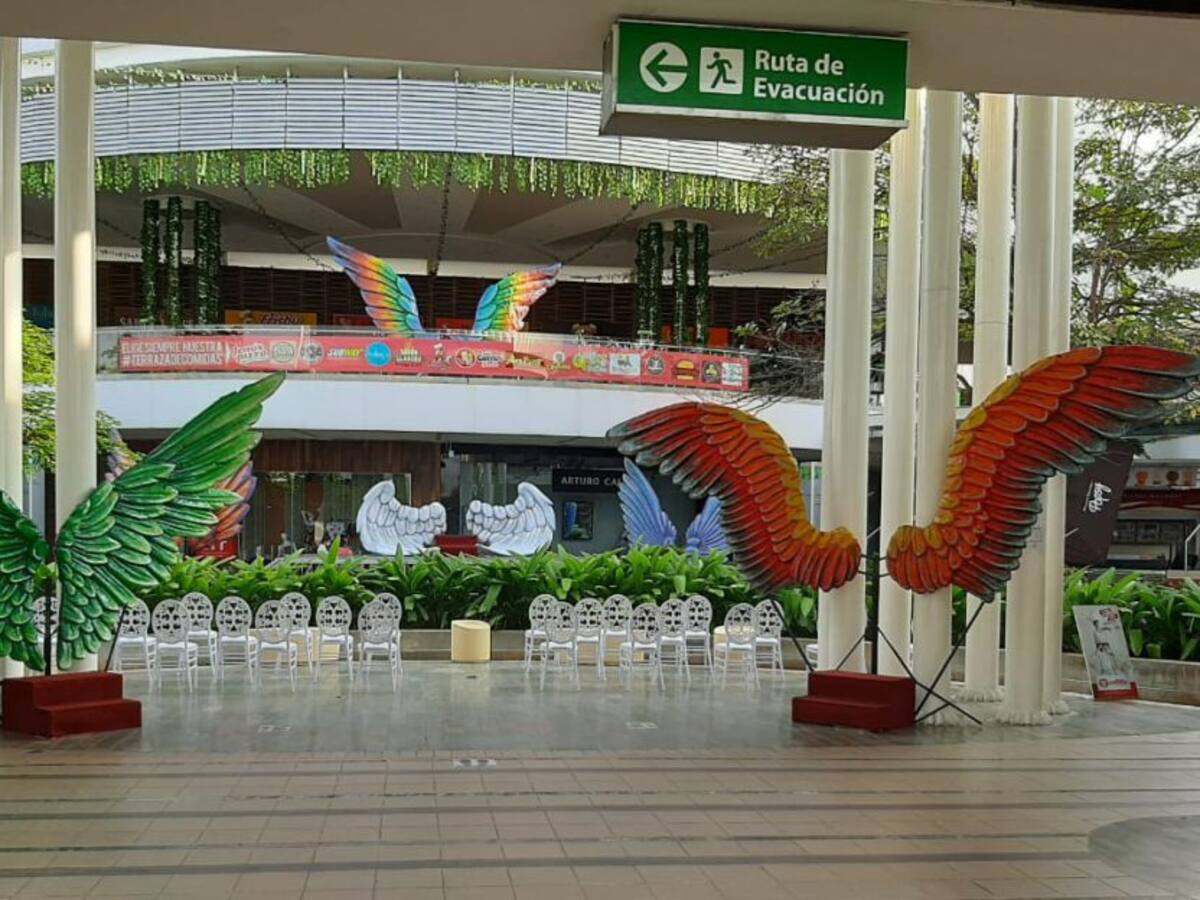 Exposición en Palmira: Alas de vida, una historia de amor