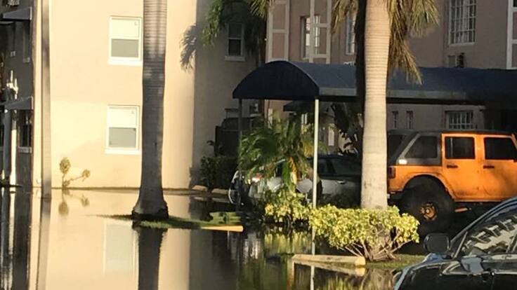 Columna de opinión sobre huracán Irma