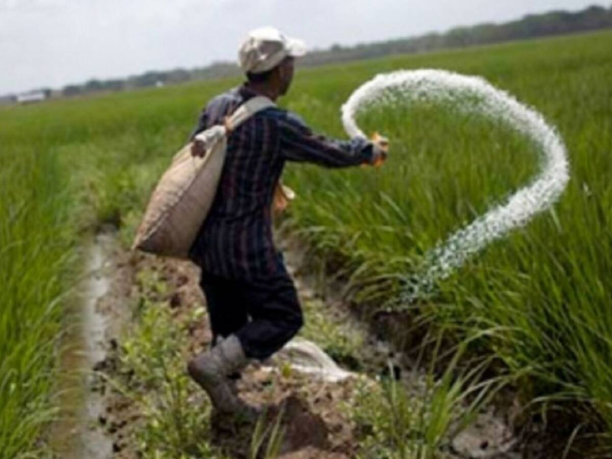 Arroceros esperan visita de Minagricultura