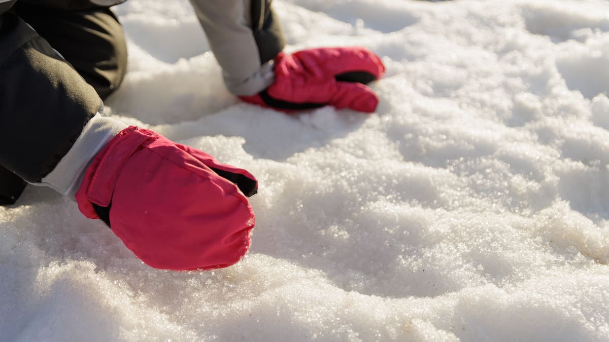 56 millones de personas están en alerta en noroeste de EE.UU. por tormenta invernal