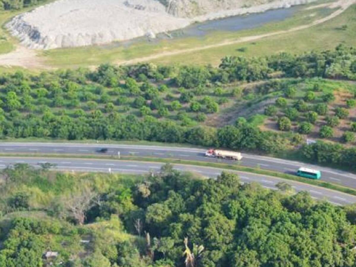 Principales recomendaciones para los viajeros durante el puente festivo de Fin de Año