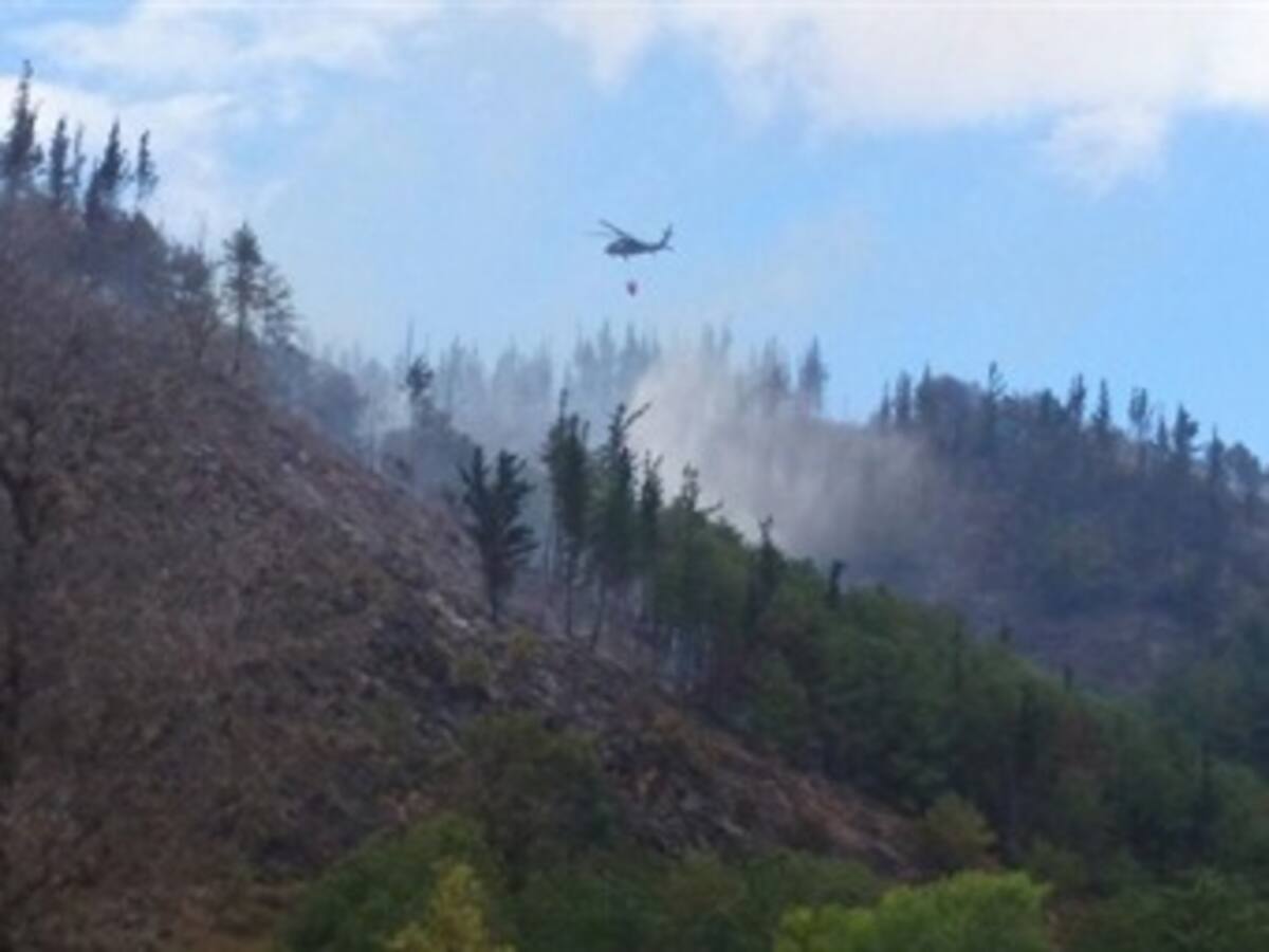 Años tardará la naturaleza en Villa de Leyva, para recuperarse del incendio