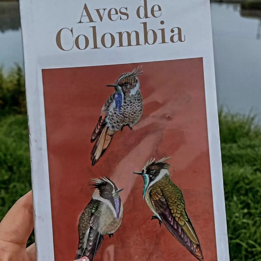 Global Big Day revela nueva especie y alerta sobre conservación