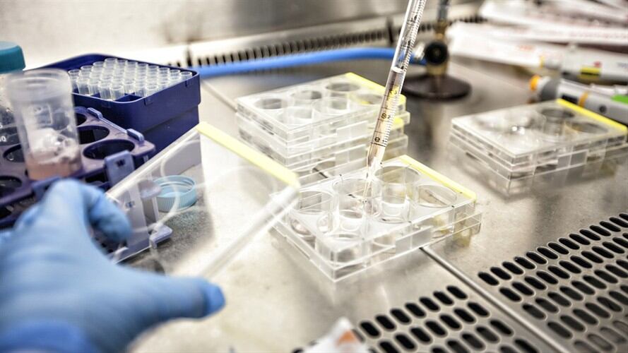 Esperanza para el mundo: vacuna contra el VIH entra en fase tres de ensayos. Foto: Getty Images