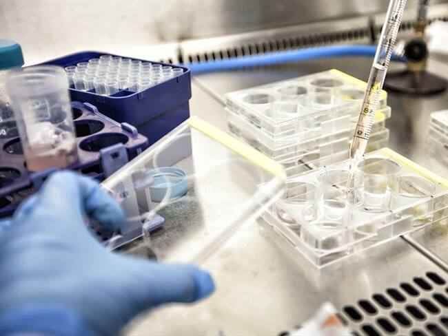 Esperanza para el mundo: vacuna contra el VIH entra en fase tres de ensayos. Foto: Getty Images