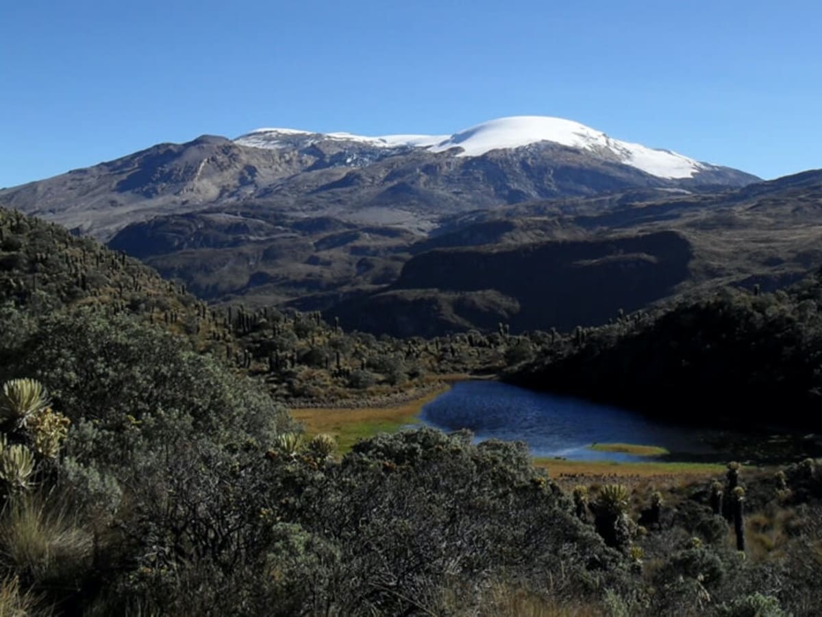 Parques Nacionales pide a turistas ‘Subir a lo Bien’ al Parque de Los Nevados