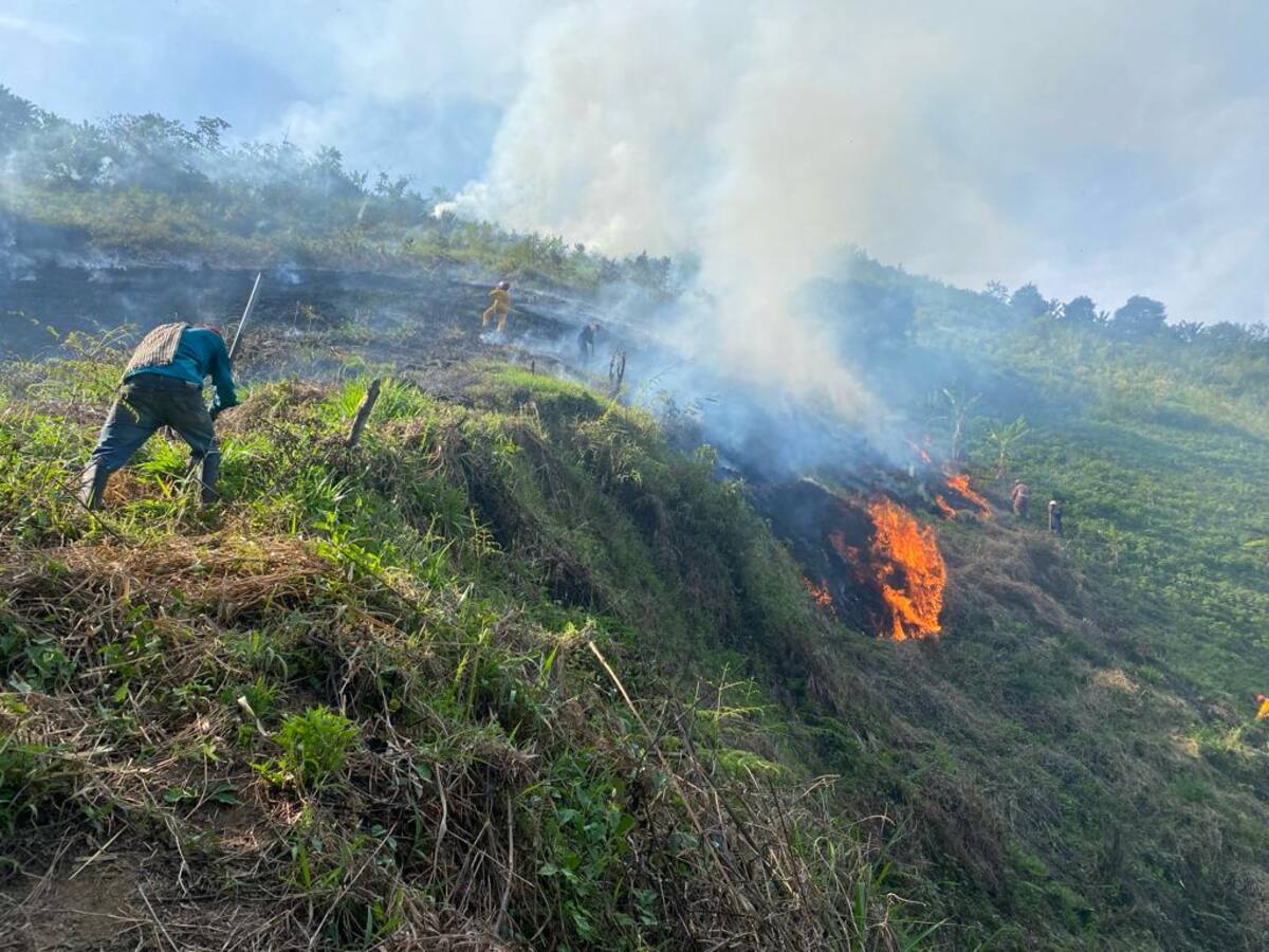 En Risaralda hay tres municipios en alerta por probabilidad de incendios de cobertura vegetal