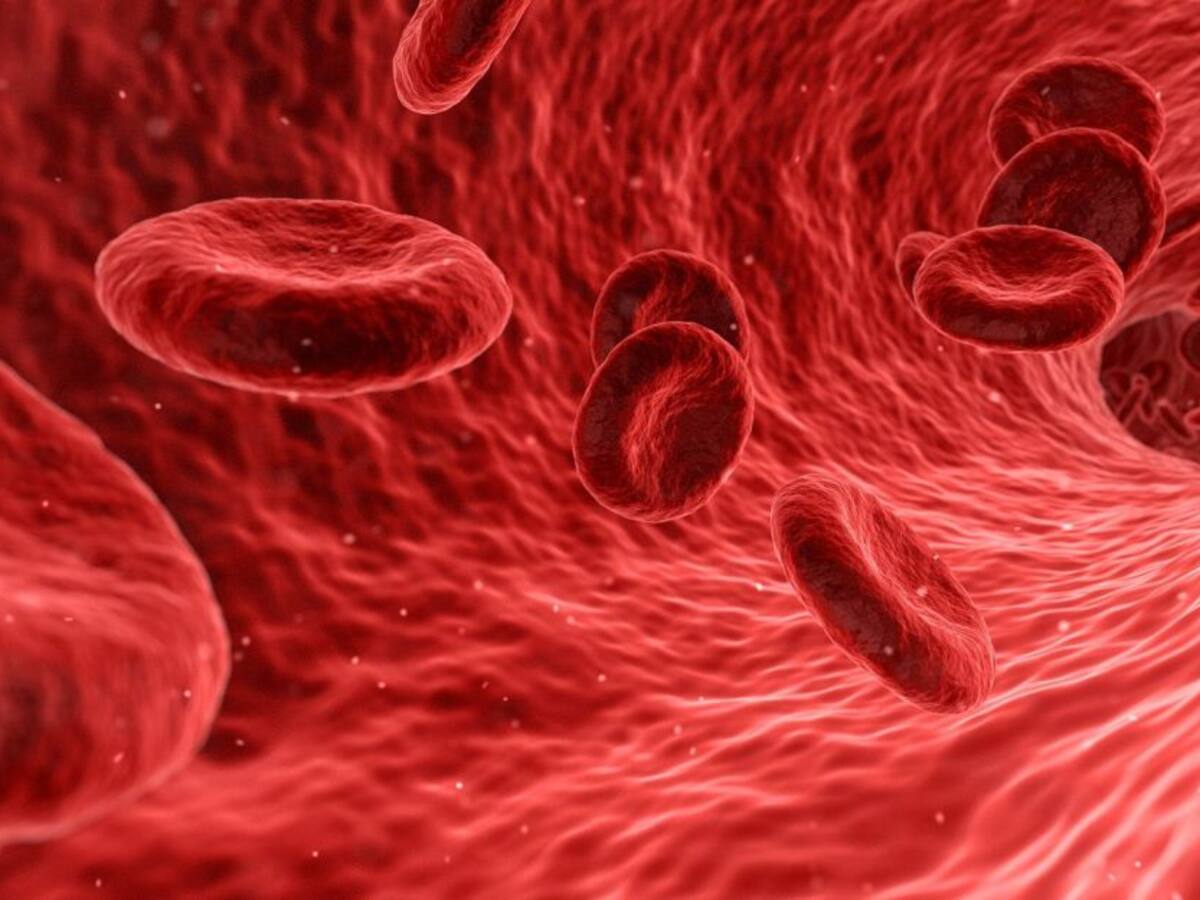 Las consecuencias del VIH