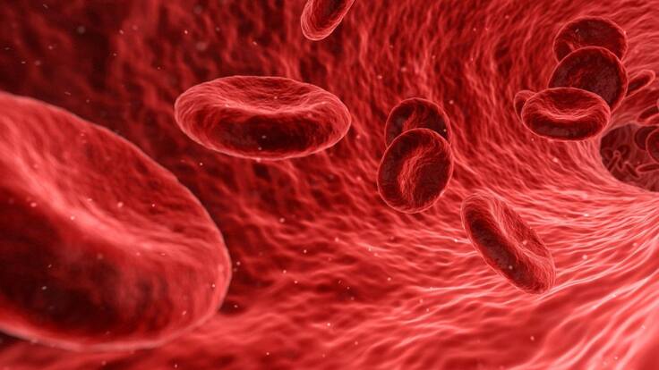 Las consecuencias del VIH.