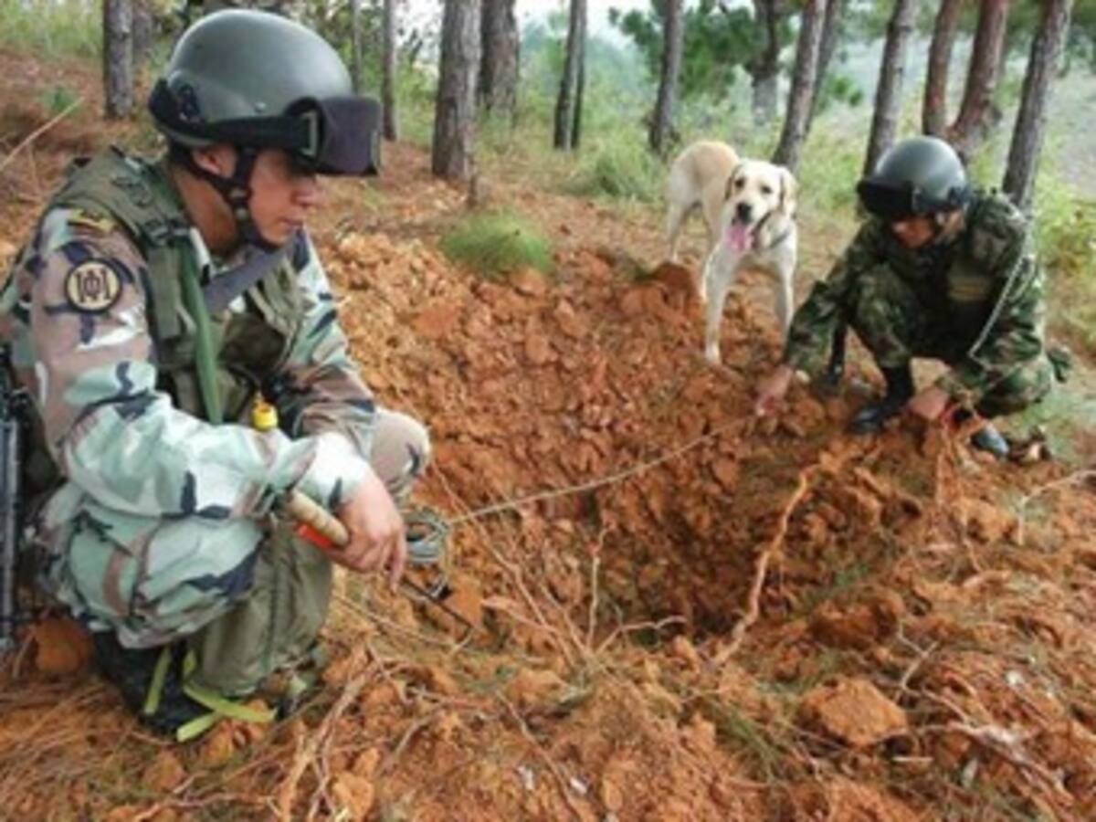 Ejército ha detectado 619 campos minados en siete departamentos del país