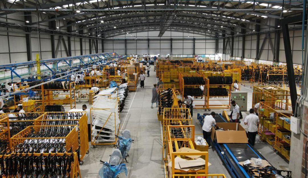 Imagen de referencia