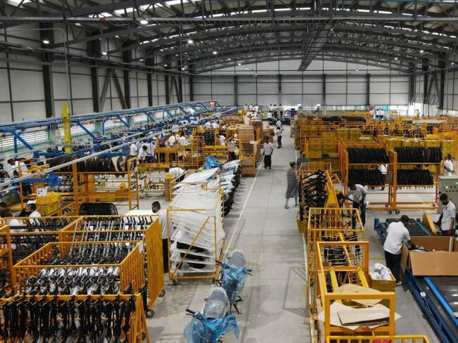 Imagen de referencia